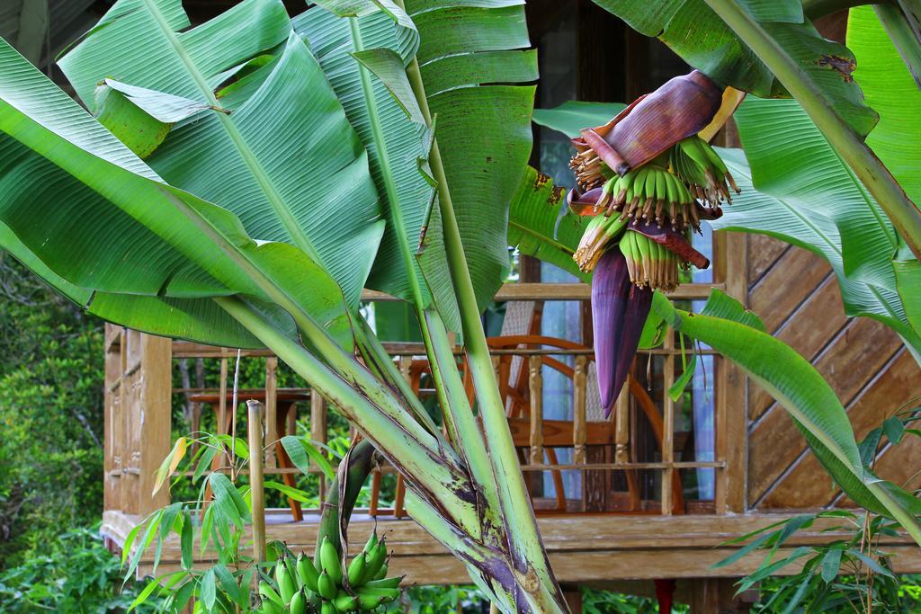 Melanting Cottages มุนดุก ภายนอก รูปภาพ