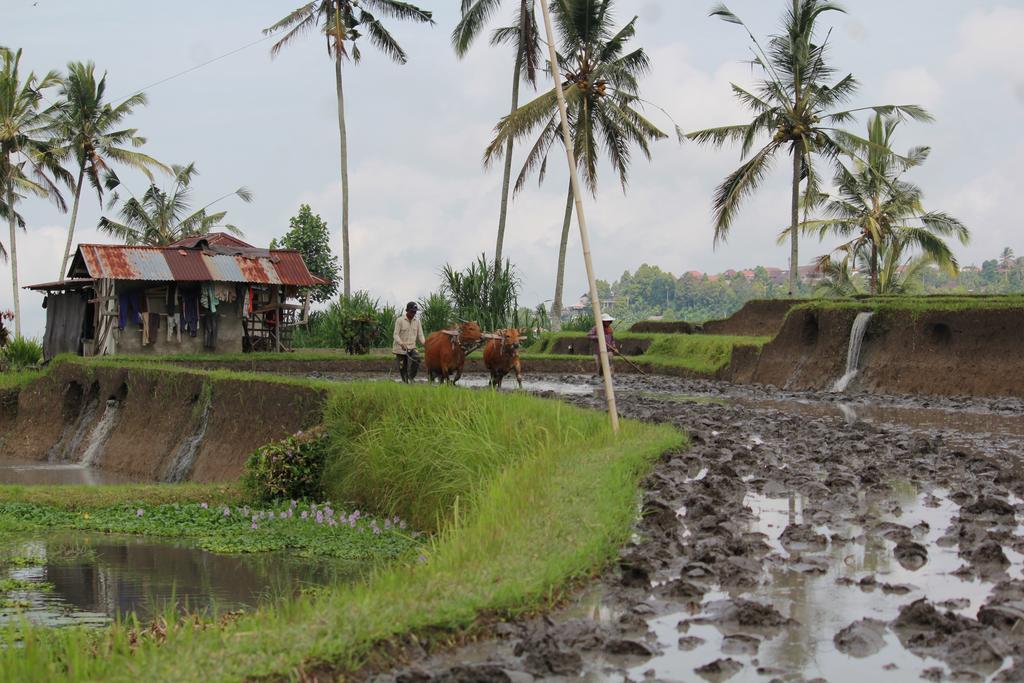 Melanting Cottages มุนดุก ภายนอก รูปภาพ