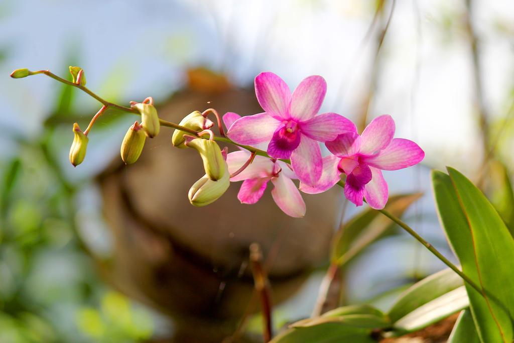 Melanting Cottages มุนดุก ภายนอก รูปภาพ